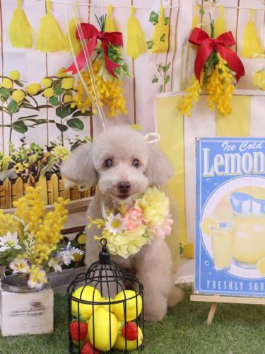 20240430ロンくん